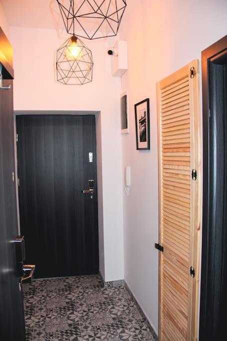 *Apartamenty Kattowitz 12 Exterior foto